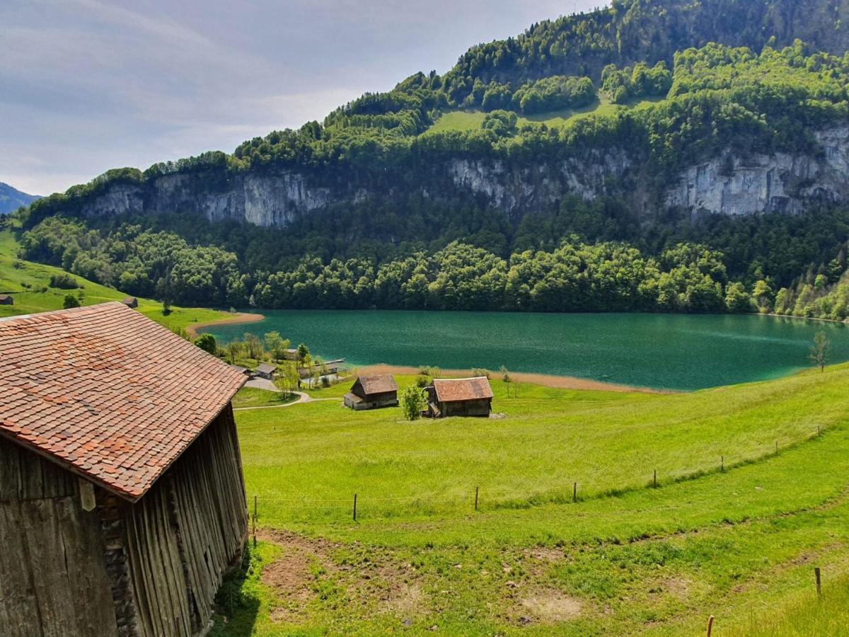 Appartement Seelewaermerli - Balsam Fuer Ihre Seele Seelisberg Zewnętrze zdjęcie