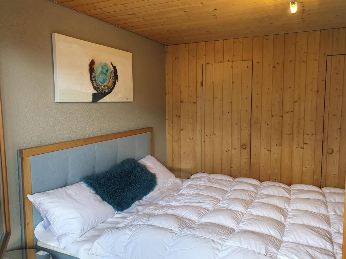 Appartement Seelewaermerli - Balsam Fuer Ihre Seele Seelisberg Zewnętrze zdjęcie