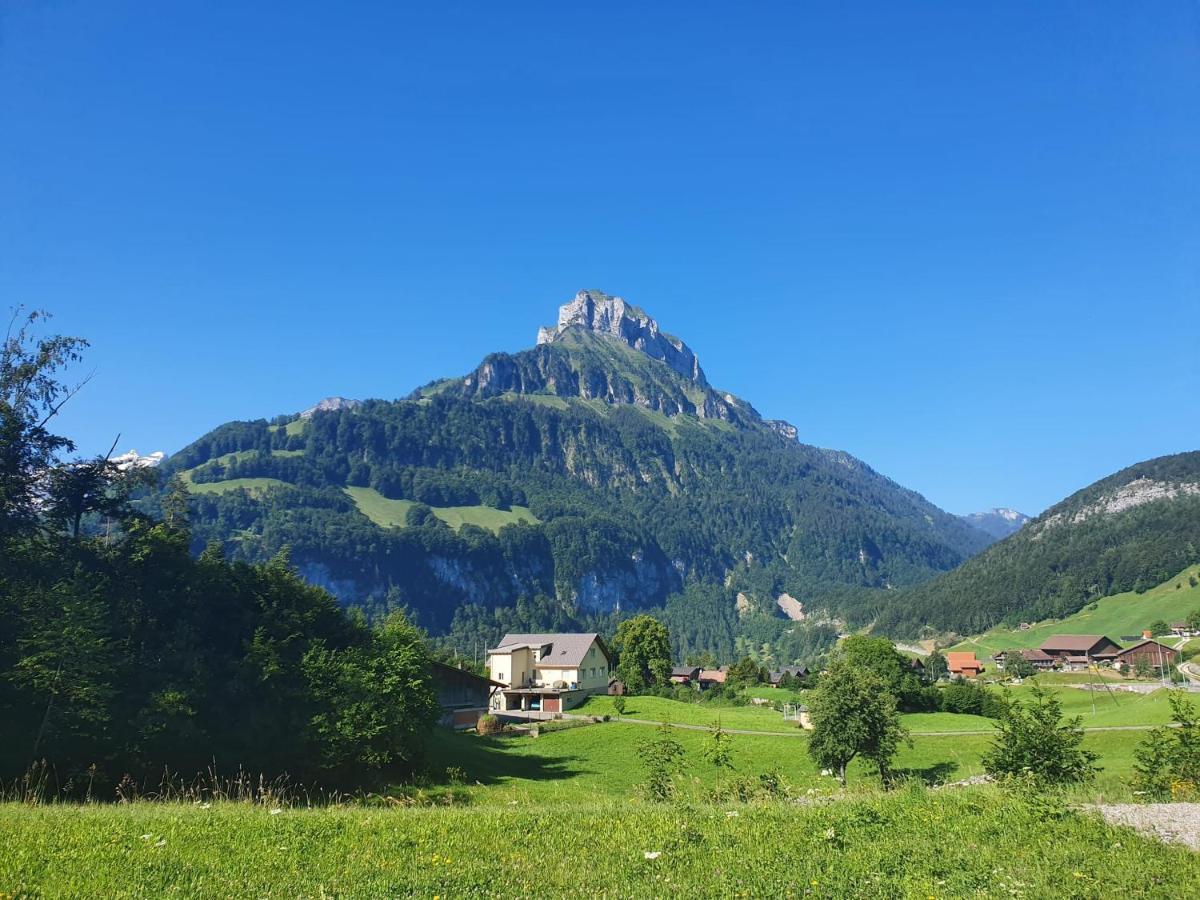 Appartement Seelewaermerli - Balsam Fuer Ihre Seele Seelisberg Zewnętrze zdjęcie