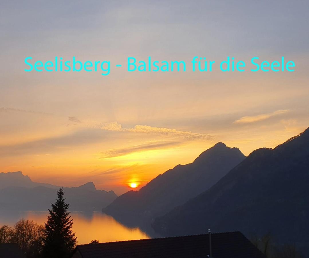 Appartement Seelewaermerli - Balsam Fuer Ihre Seele Seelisberg Zewnętrze zdjęcie