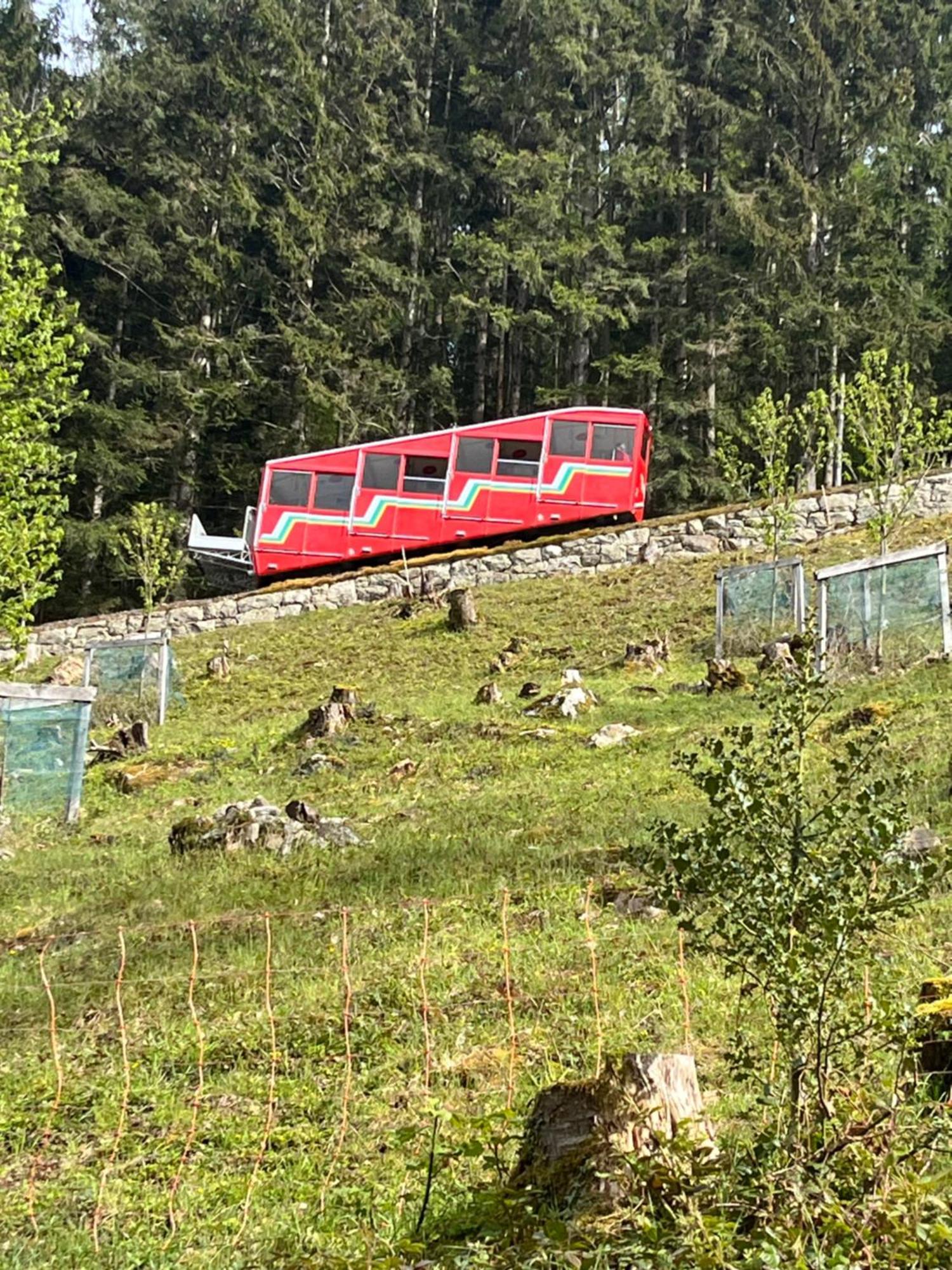 Appartement Seelewaermerli - Balsam Fuer Ihre Seele Seelisberg Zewnętrze zdjęcie